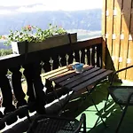 Bergbauernhof Stauder - Hirschbergalpakas *