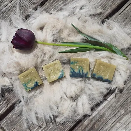 Bergbauernhof Stauder - Hirschbergalpakas Lendorf