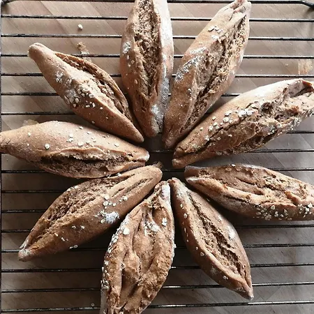 Bergbauernhof Stauder - Hirschbergalpakas