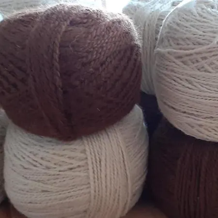 Bergbauernhof Stauder - Hirschbergalpakas Farm stay Lendorf