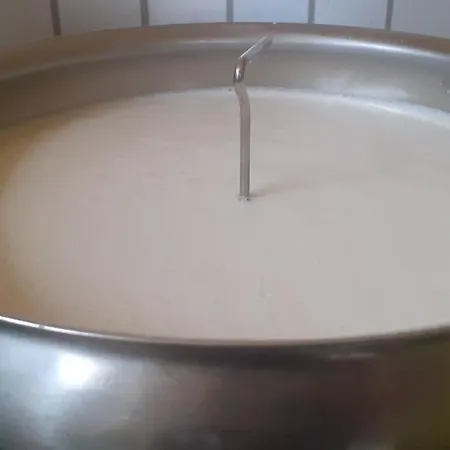 Bergbauernhof Stauder - Hirschbergalpakas Farm stay *