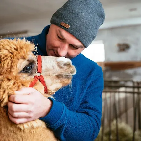 Farm stay Bergbauernhof Stauder - Hirschbergalpakas