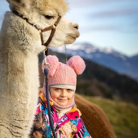 Bergbauernhof Stauder Bauernhof