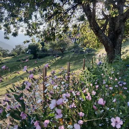 Bergbauernhof Stauder - Hirschbergalpakas Feriegård *