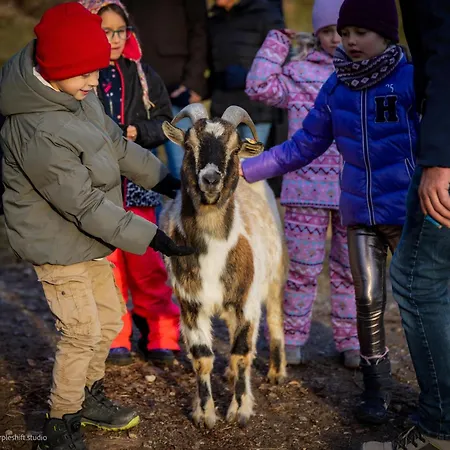 Bergbauernhof Stauder - Hirschbergalpakas * Lendorf