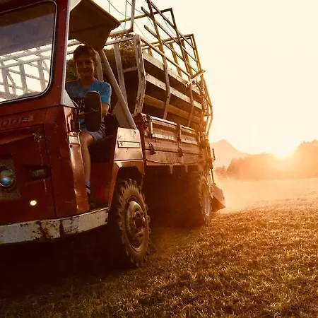Bergbauernhof Stauder - Hirschbergalpakas *
