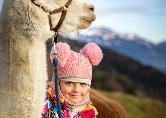 Bergbauernhof Stauder Bauernhof