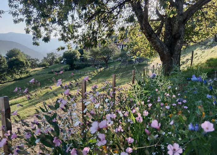 Bergbauernhof Stauder - Hirschbergalpakas Feriegård *