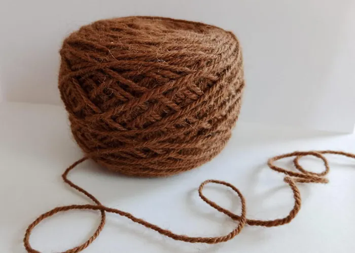 Bergbauernhof Stauder