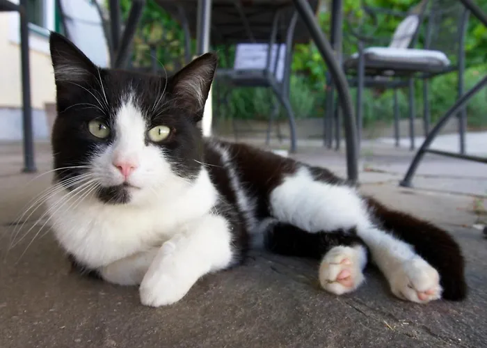 Bergbauernhof Stauder *