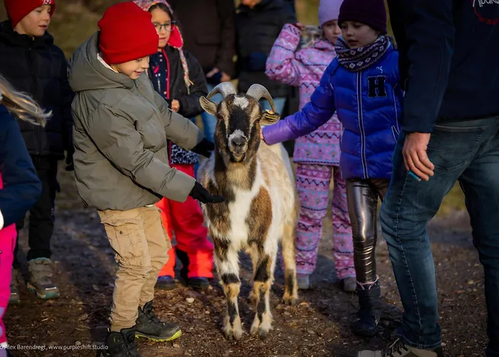 Bergbauernhof Stauder - Hirschbergalpakas * Lendorf